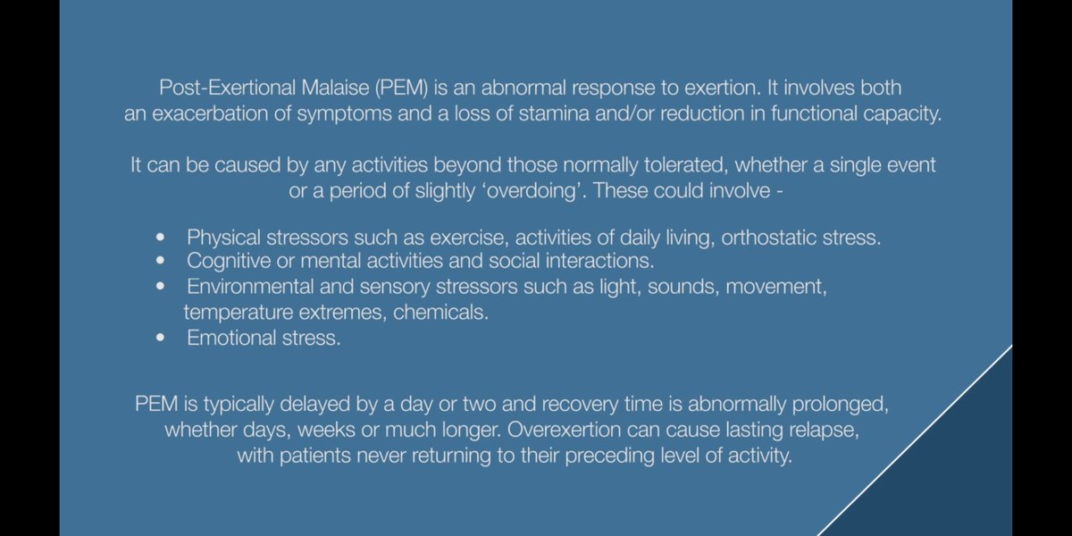 zedsrigil tweet media