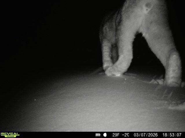 Jim 🇨🇦 tweet media