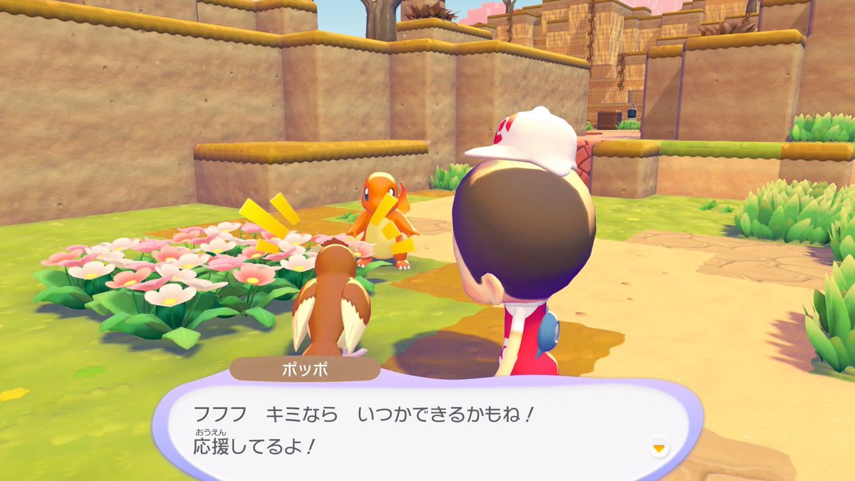 いつかきっと飛べる
#ぽこあポケモン