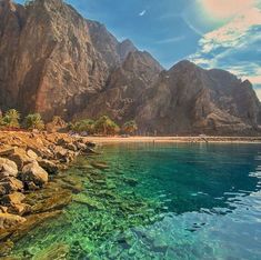 عفاش الدوسري tweet media