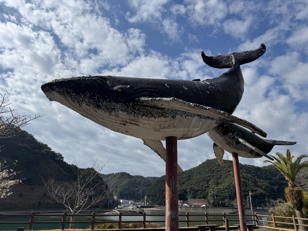 ☀️イクリプス・トラペゾヘドロン🌙 tweet media