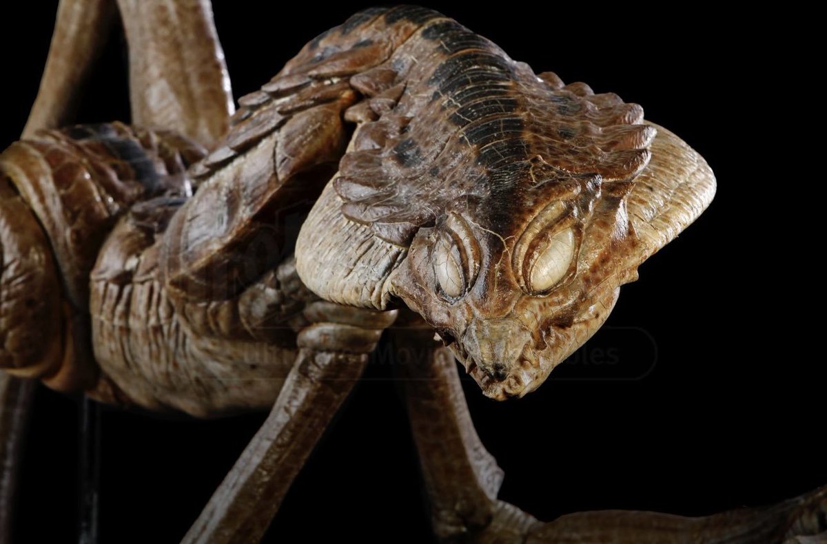 cinesthetic. tweet media