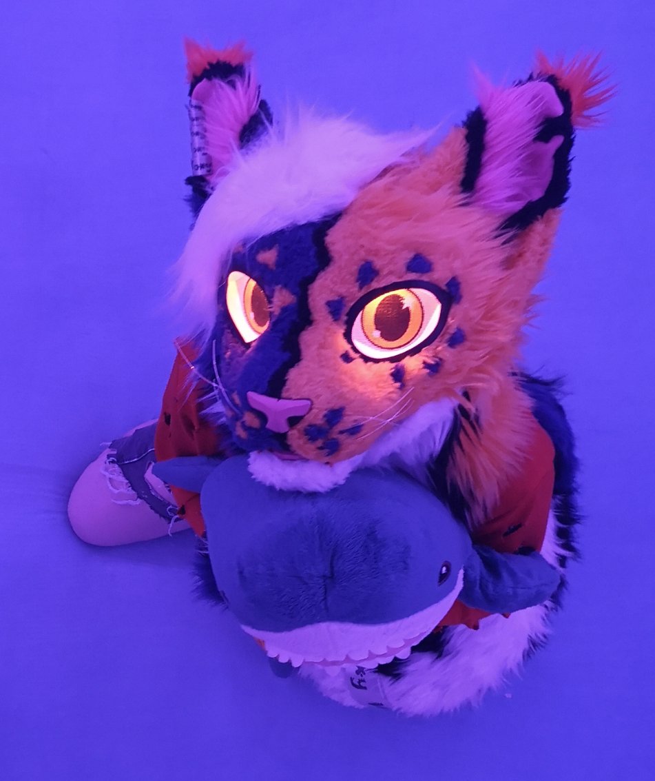 🇸🇮Woxy🇪🇺@CFZ, @Awoostria tweet media