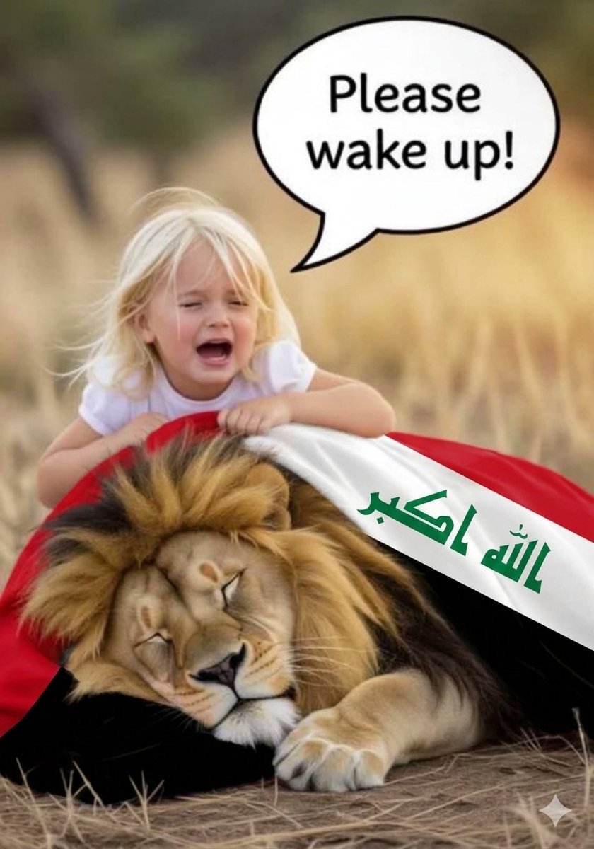 NKassow's tweet photo. Iraq is the only country that is being attacked by all parties (#USA and #Iran) and attacks itself as well.
Iraq is Neutral 
This is not our war 
#IranWar https://t.co/C2AzOqRxAi