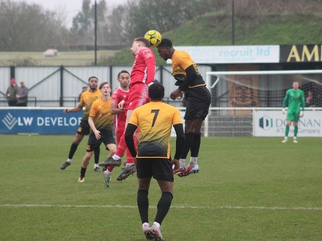 Local Bus Driver tweet media