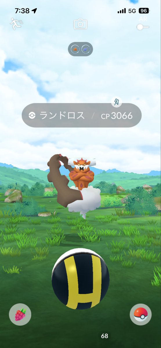 pokemongambaru's tweet photo. 野生からランドロス現れた https://t.co/oQwXOgbOJI