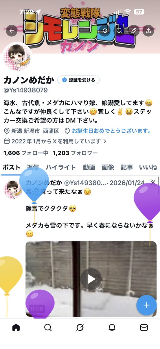 カノンめだか tweet media