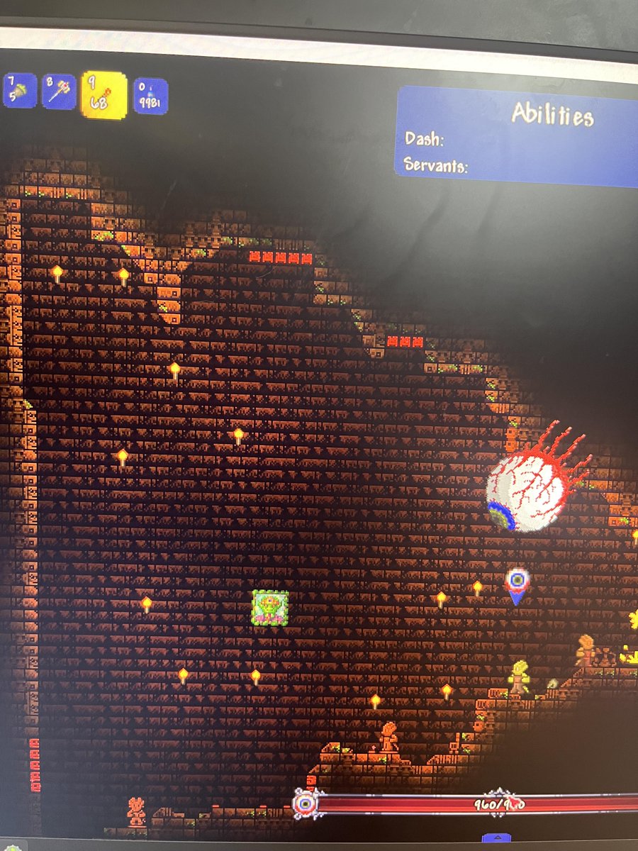 r/Terraria 🌳 tweet media