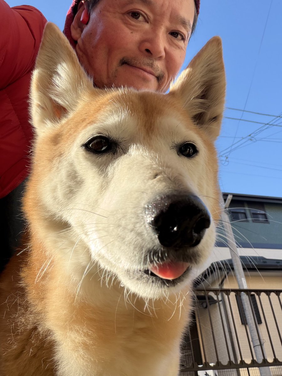 MAXWATANABE's tweet photo. おはようございます♫松戸は寒風厳しいキンと冷えた朝です。昨日のモデラーズフリマはさながら模型サークルの同窓会🎶永年親しくさせてもらっている錚々たるメンバーが和気藹々童心に還えり、プラモデル談義に花を咲かせていました♫プライベートストックを売る「MAX渡辺屋」は横山宏センセのフーテンの寅さんの如き弁舌でプラモを売ってくれました🎶今日はバイク模型展示会「マカロニライダース」🎶まさにプラモ三昧❣️
＃ロンさん ＃マカロニライダースクラブ ＃モデラーズフリマ