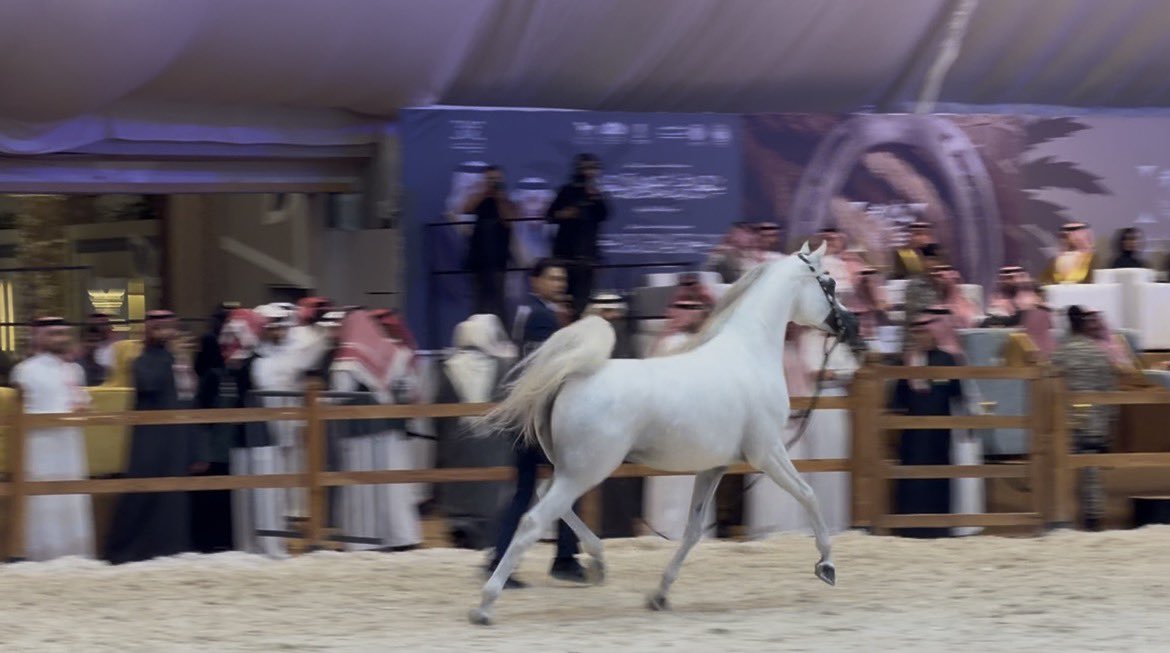 وصايِف tweet media