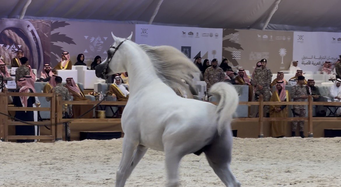 وصايِف tweet media