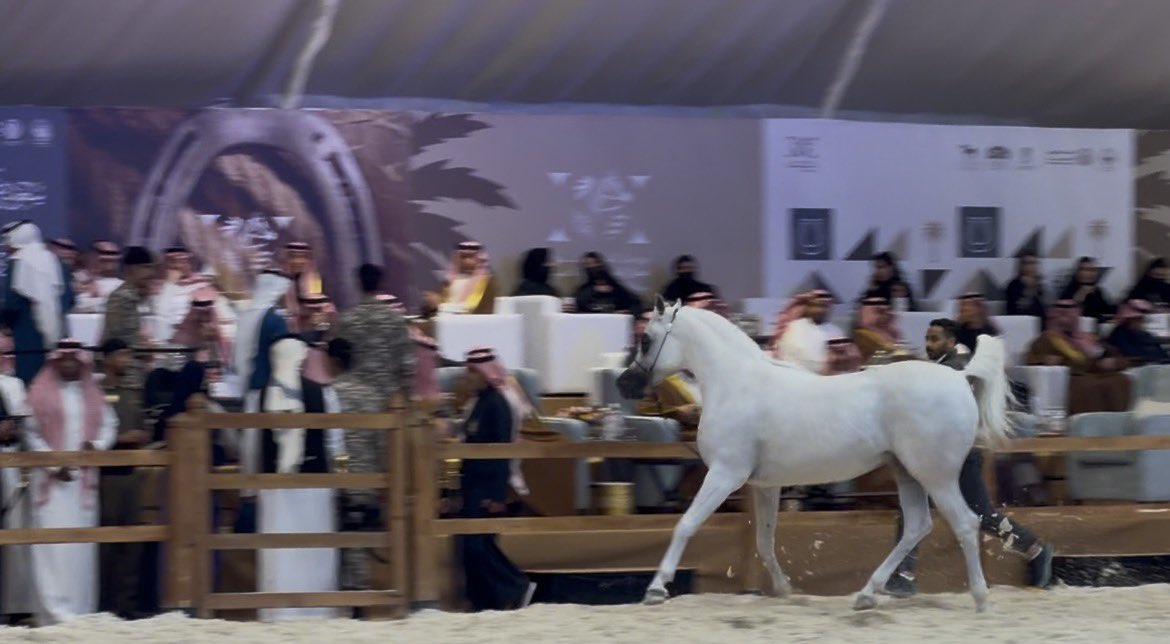 وصايِف tweet media