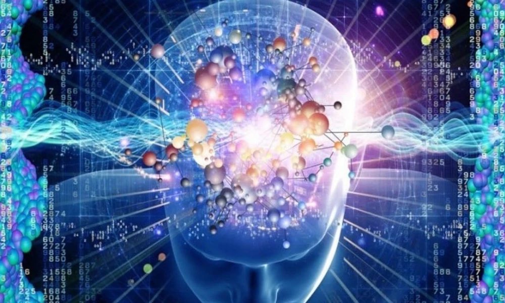 r℮x 🧸 tweet media