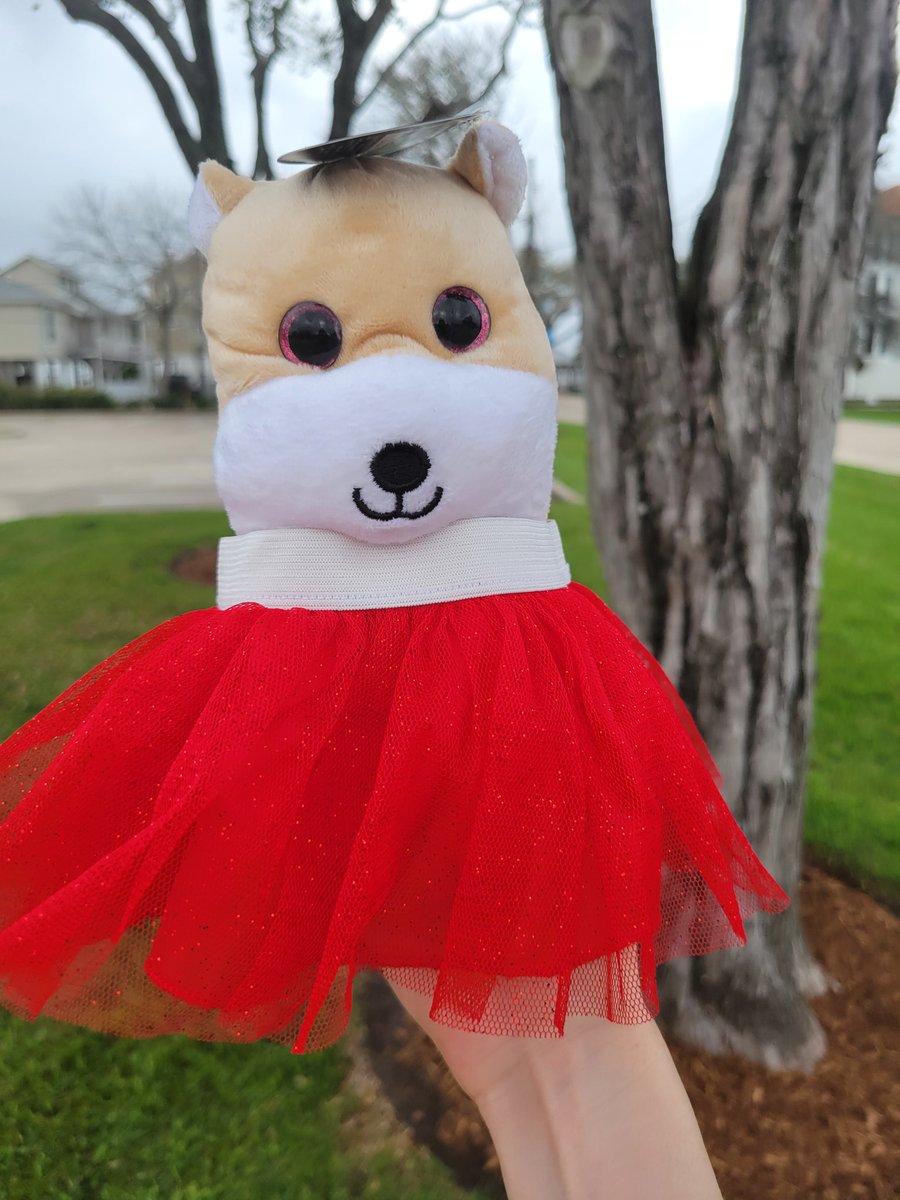 I use he/ham pronouns