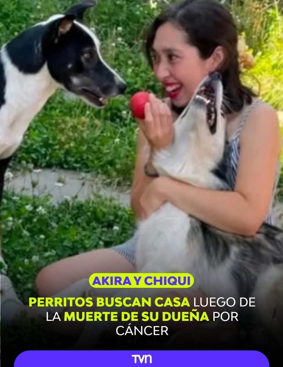 LORE TIN tweet media