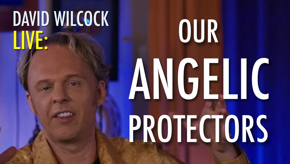 David Wilcock tweet media
