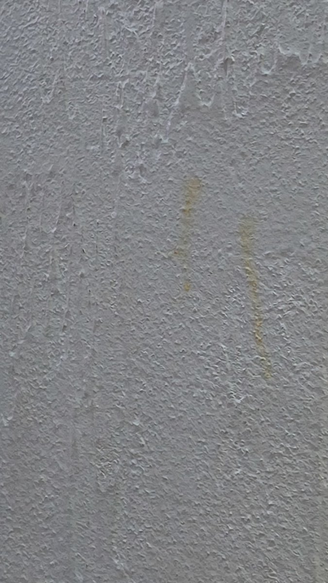 Guillermo Raimund VII 🌿 (HE-HIS) tweet media