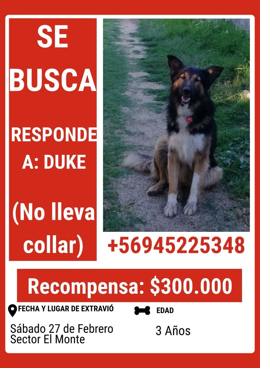 LORE TIN tweet media