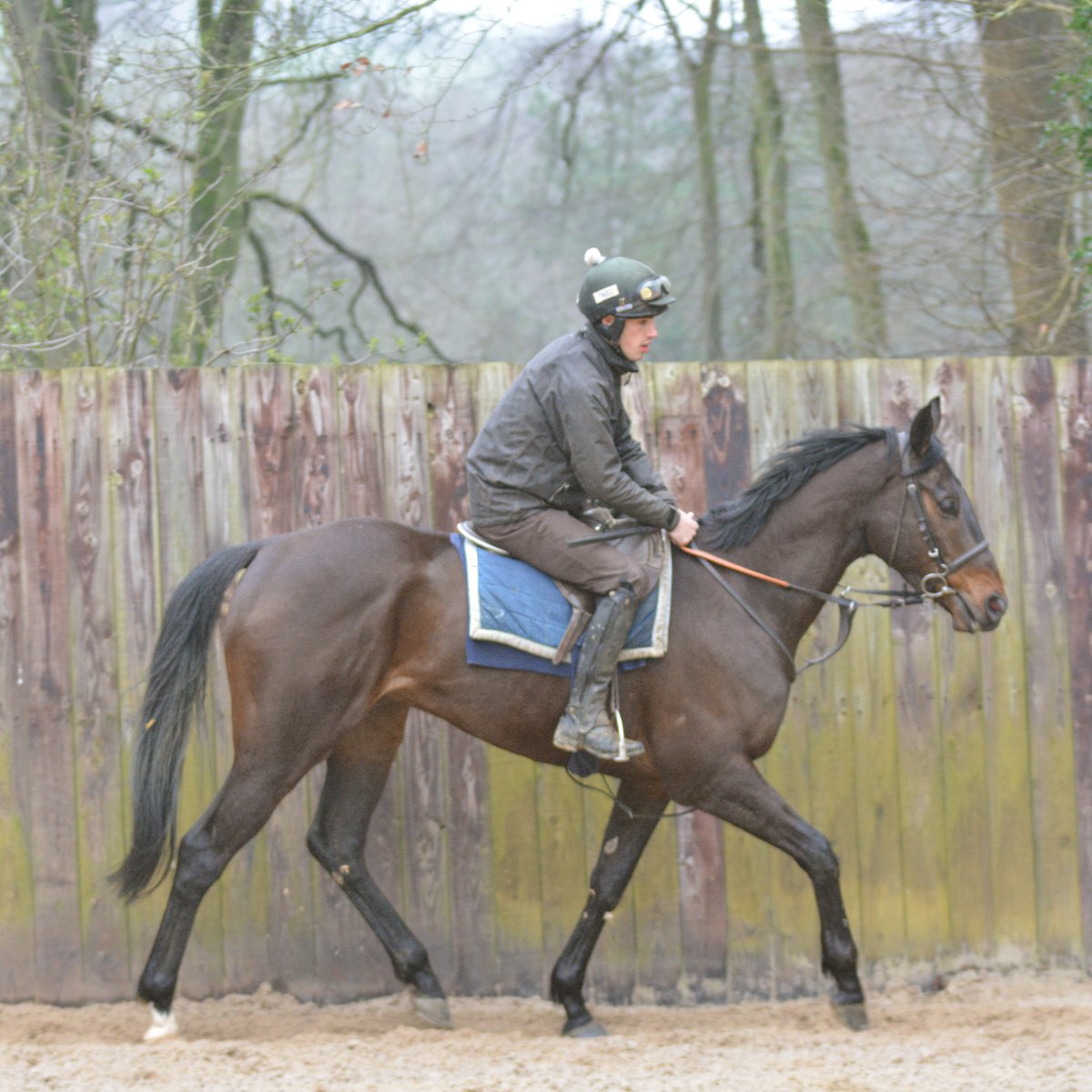 Owners Group tweet media