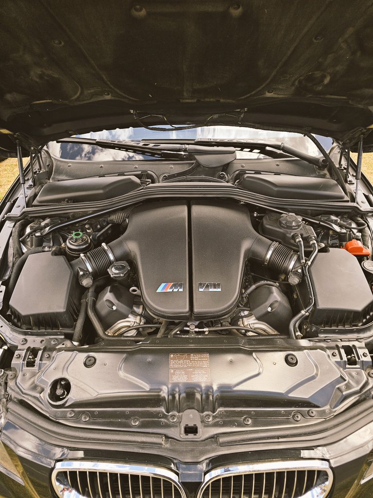 Roman Brunori tweet media