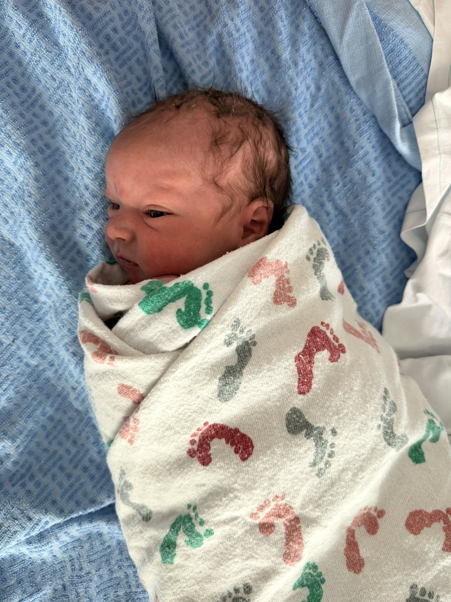 Ben Rudolph tweet media