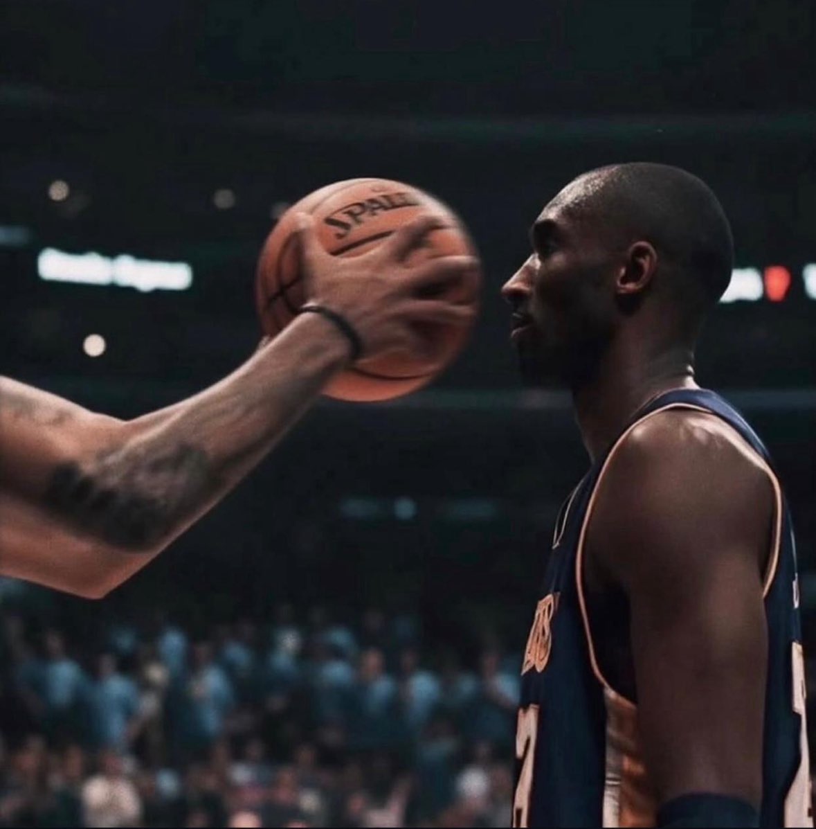 Falcons Exnid tweet media