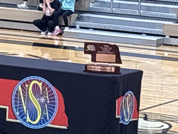 ElmCreekBuffs's tweet photo. LADY BUFFS WIN!! Great 3rd place finish ladies! A great season to be proud of! https://t.co/nWCc8aYRT1