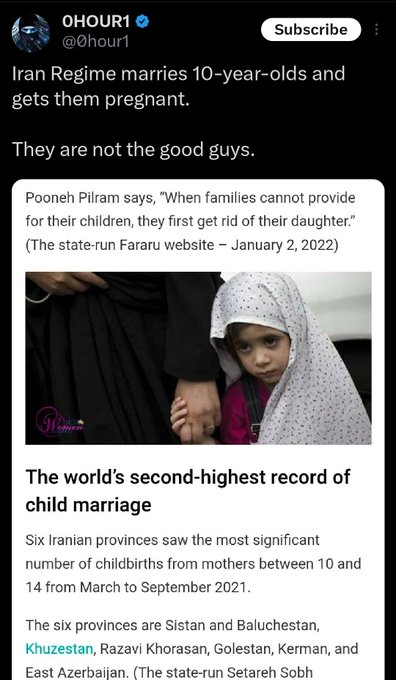 Fur Missile 🇺🇸 tweet media