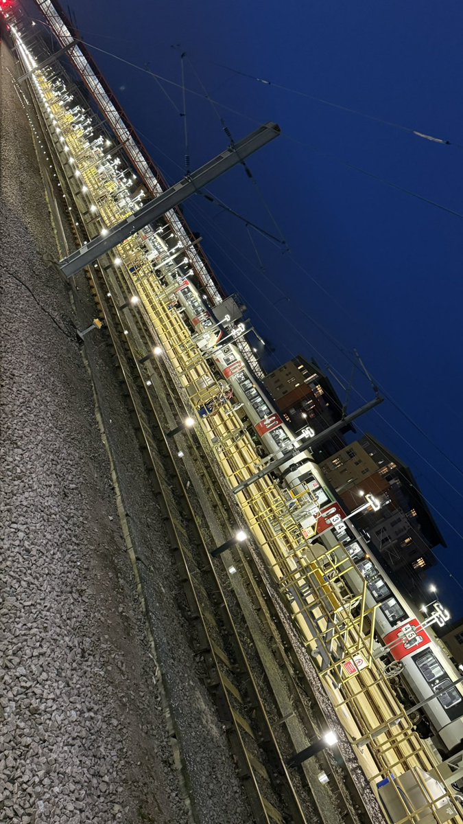 Prof.Dr.Levent Eraslan tweet media