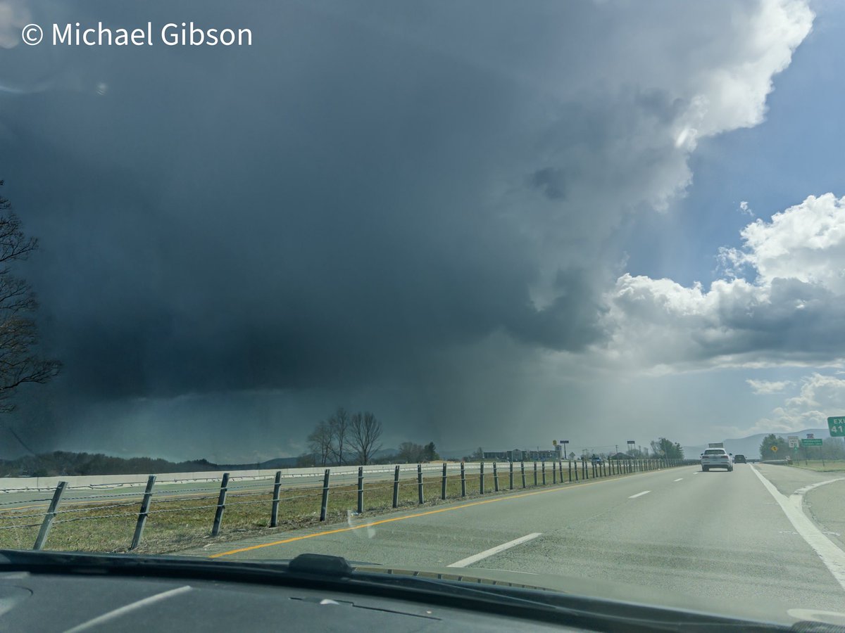 Michael Gibson tweet media