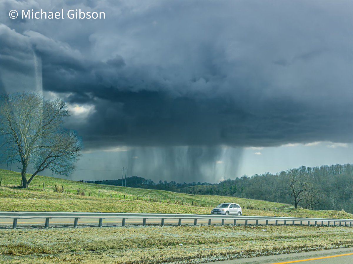 Michael Gibson tweet media