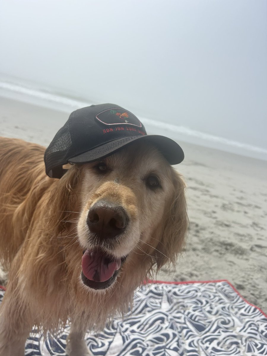 Alex Jarvis 🏁 tweet media