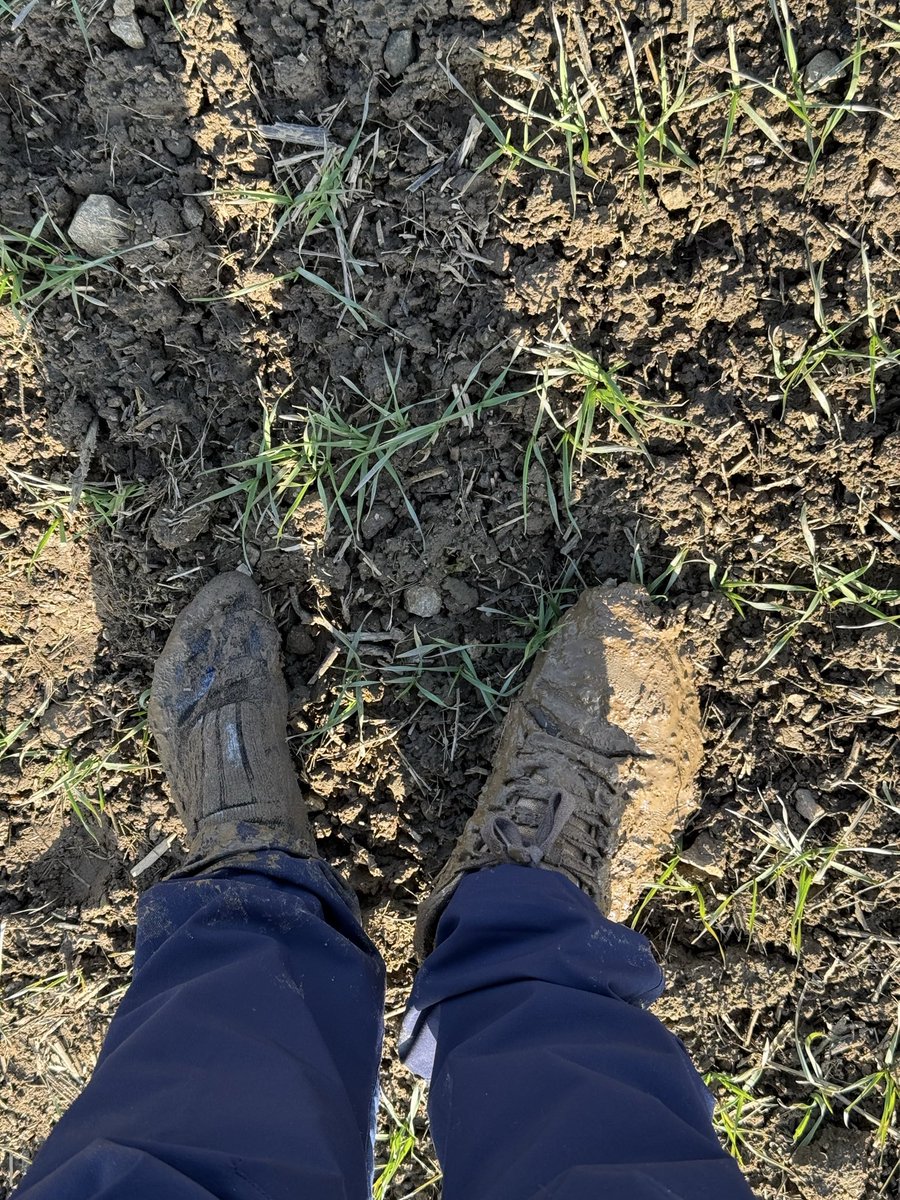 So I went for a walk today