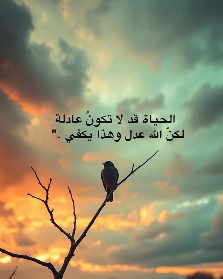 أفراح (@crislaynedutra) on Twitter photo 