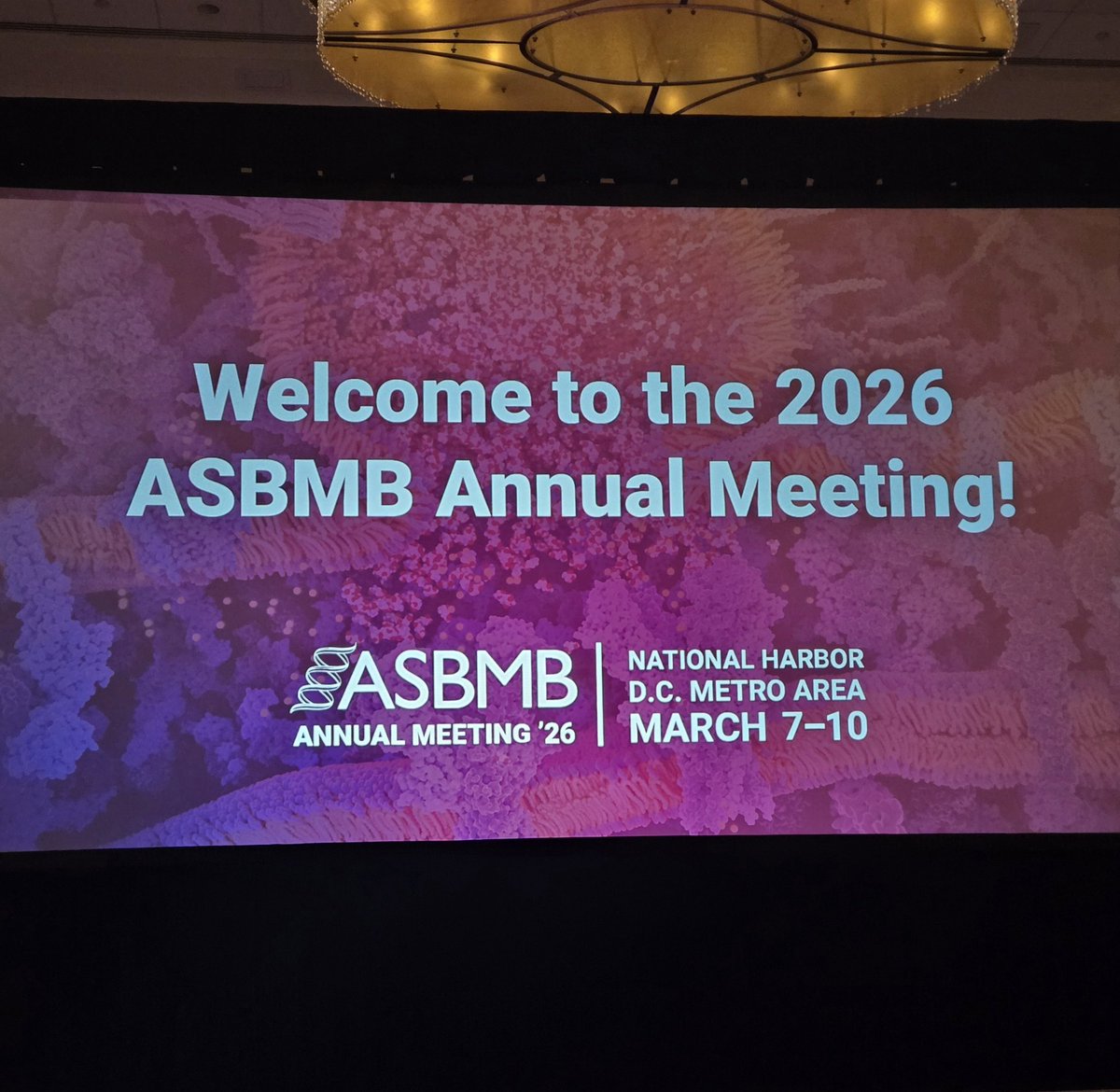 aubrey smith, Ph.D. 🇭🇹 tweet media