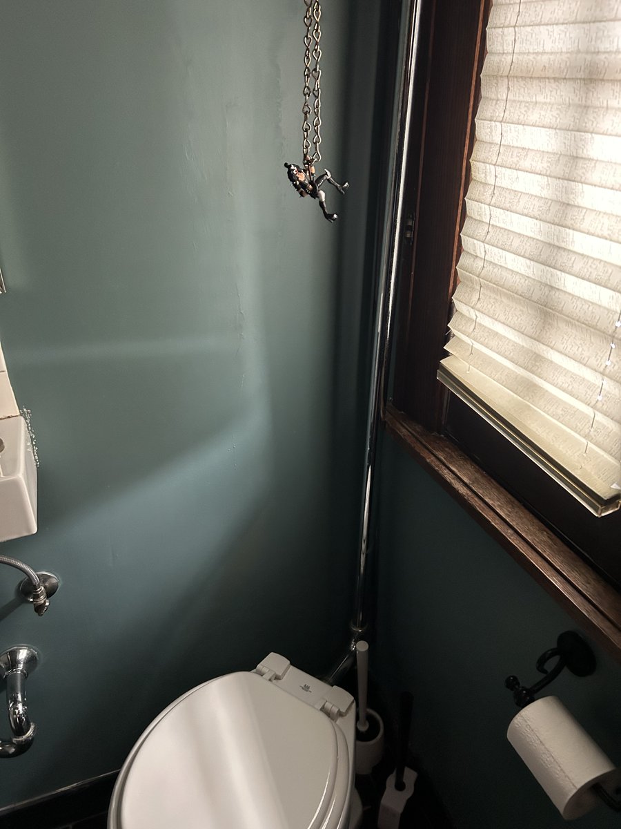 red curtis tweet media