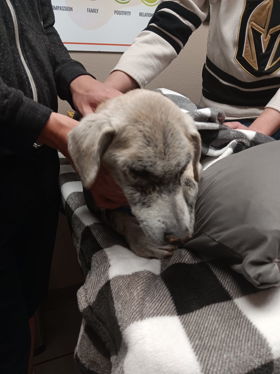 TheRampartRambler tweet media