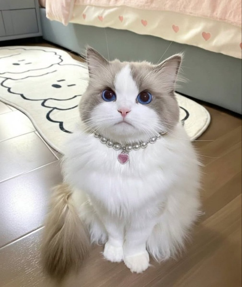 SolidKroket tweet media