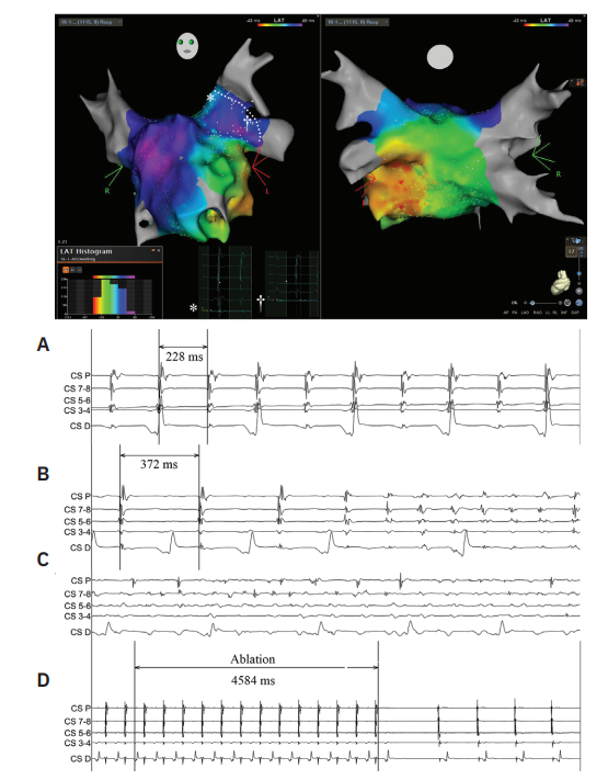 EP Lab Digest tweet media