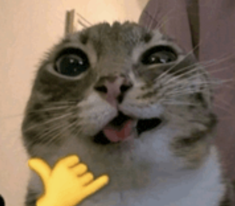 u_gentile tweet media