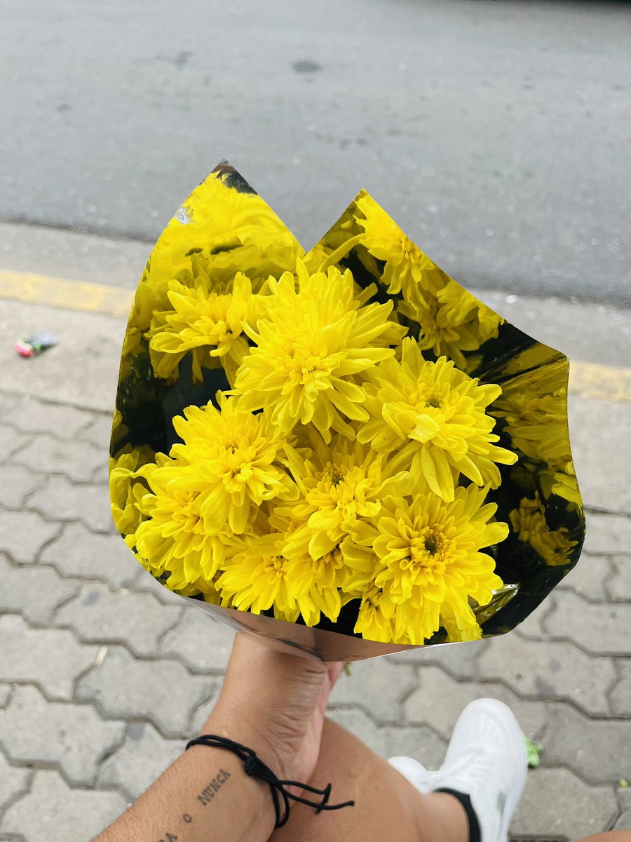🌼🌼