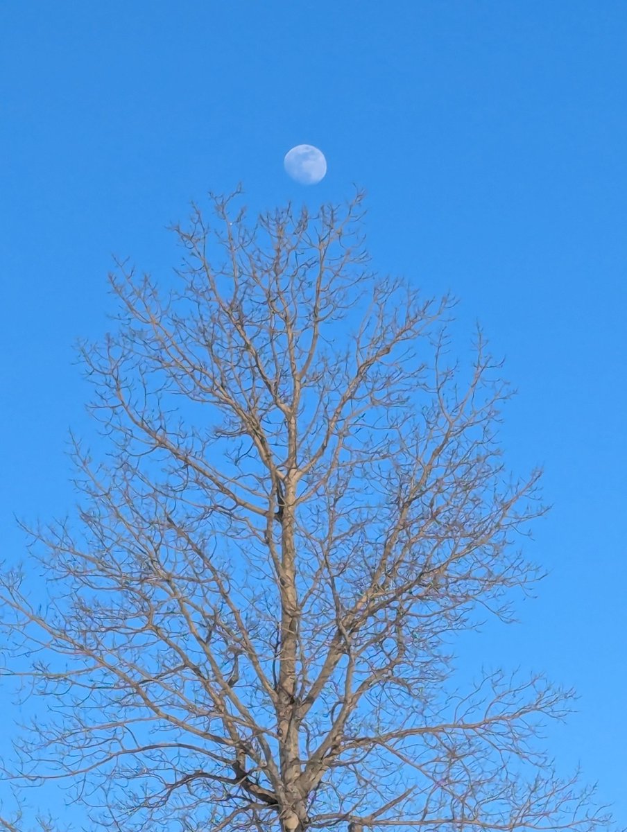 Grampa1950's tweet image. It’s “Simple Saturday”!
#HappySaturday 
Please share a photo that simply brings you joy!