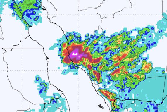 راعــد tweet media