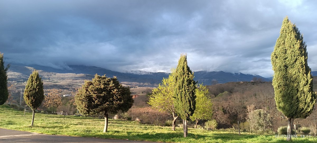 Nava del Concejo tweet media