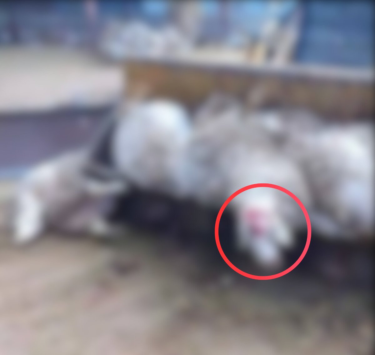 Κίνημα Οικολόγων - Συνεργασία Πολιτών tweet media