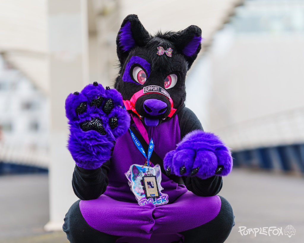 Tyler Wusky tweet media