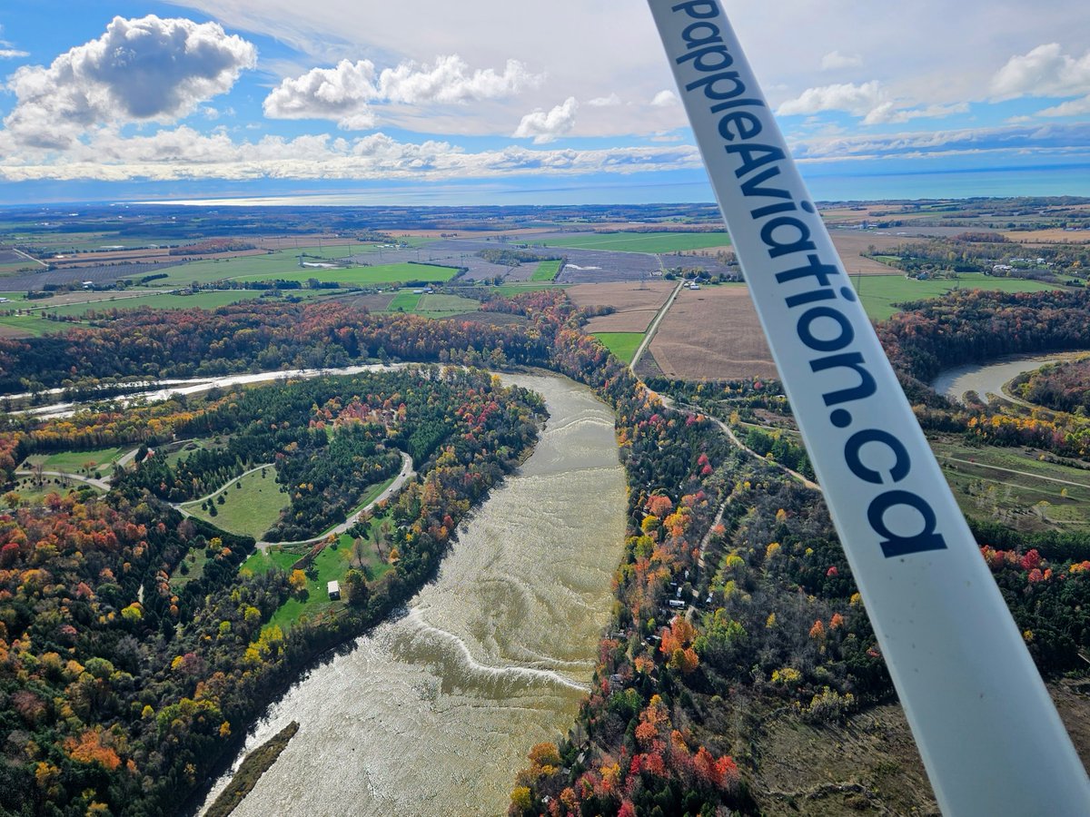 Papple Aviation tweet media