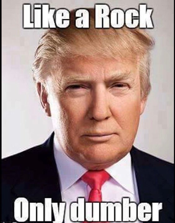 <a href="/krassenstein/">Brian Krassenstein</a>