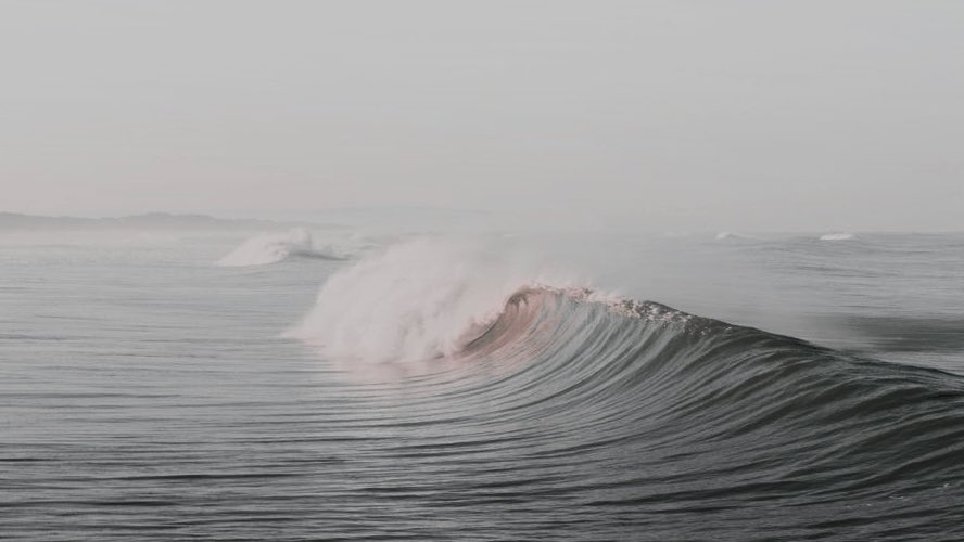 ๐๐ฅ๐๐ฎ๐ฌ ๐๐จ๐ญ๐ญ๐๐ซ. tweet media