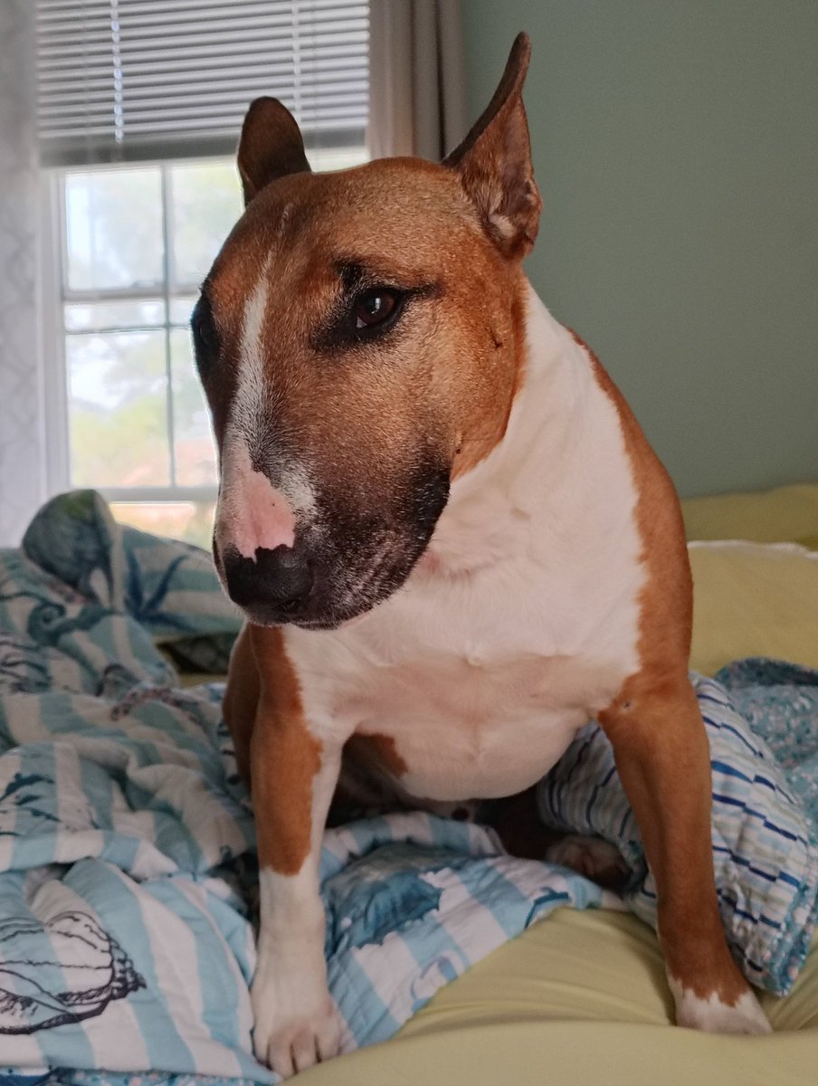 Sunnysideup tweet media